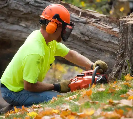 tree services Overton